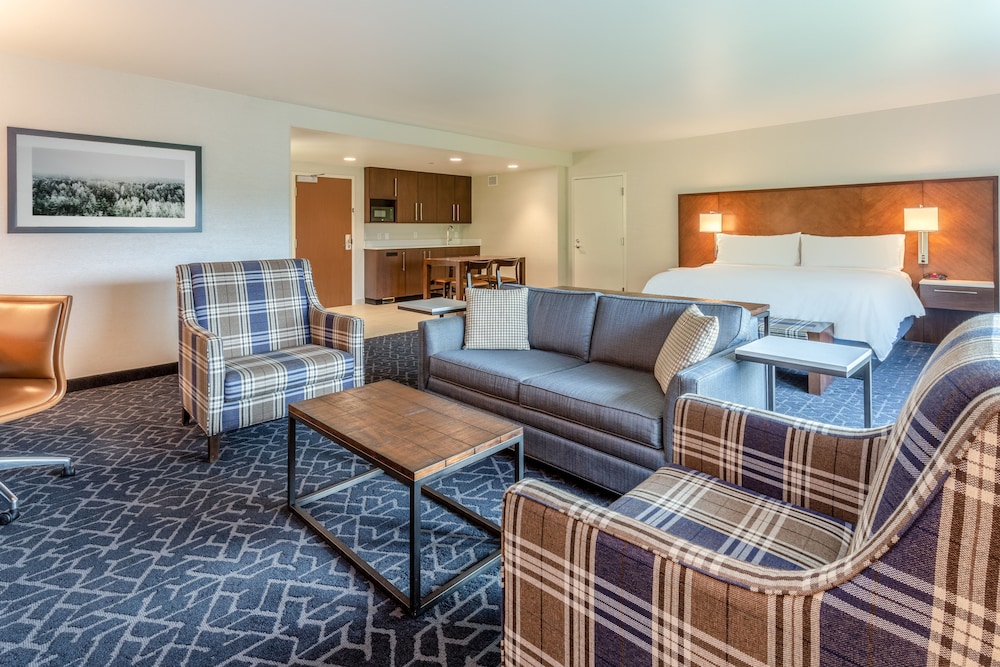 Premium Room, 1 King Bed, Accessible (Voco, Comms, Roll-In Shower) photo 1