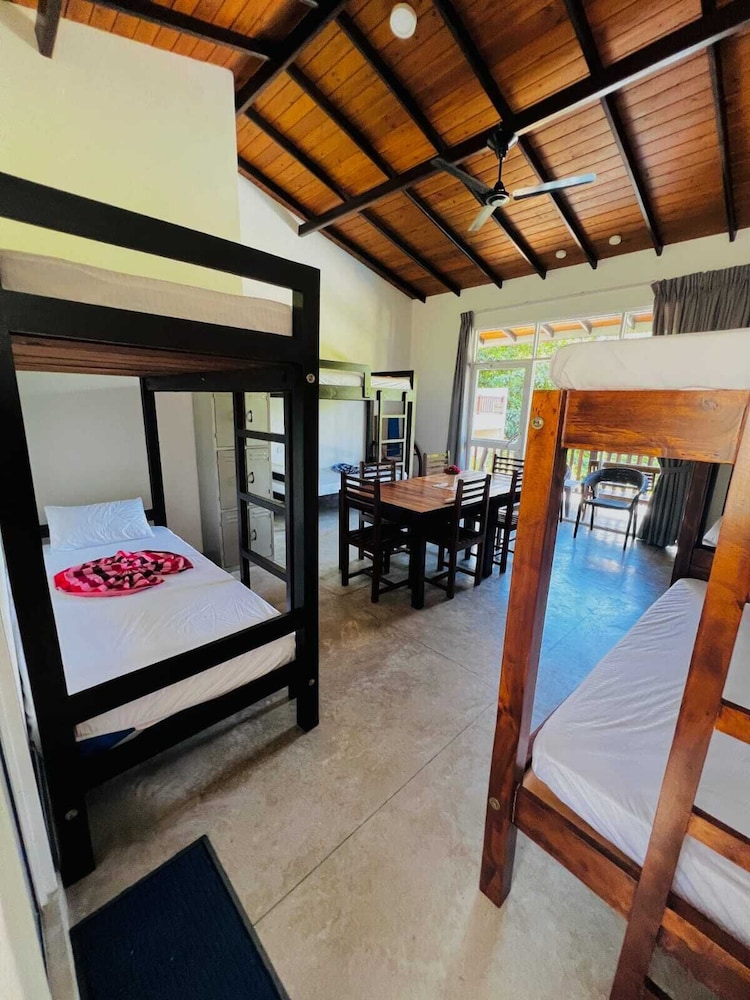 Classic Shared Dormitory, Mixed Dorm