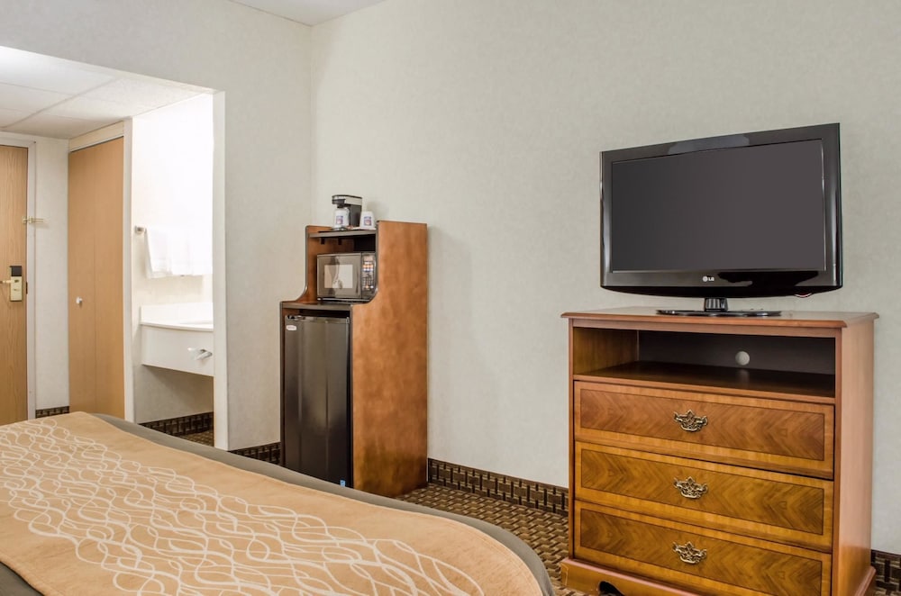 Standard Room, 1 King Bed with Sofa bed, Non Smoking - Photo 9