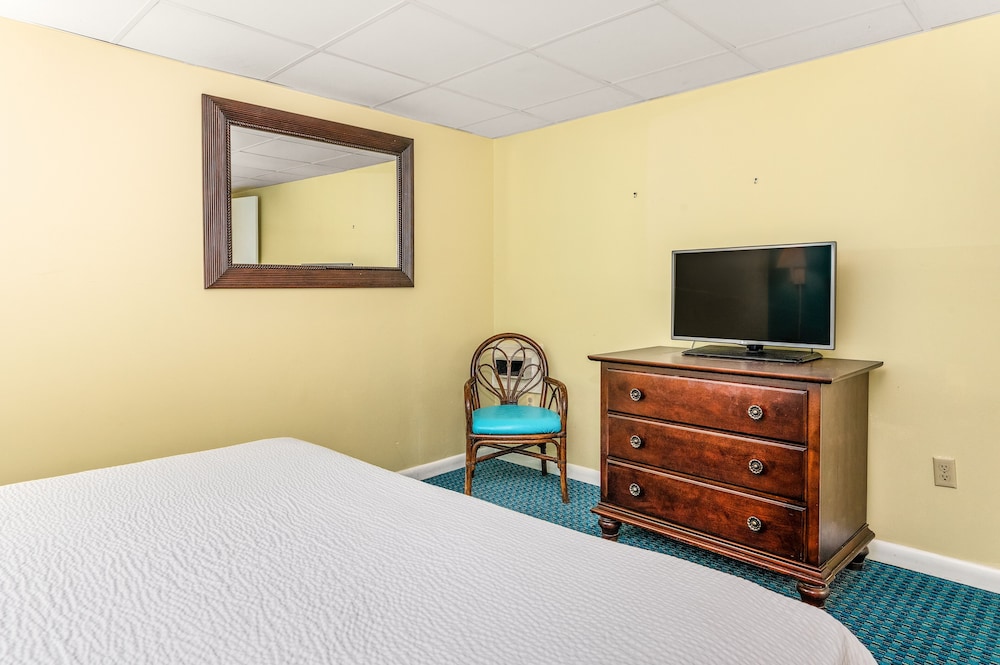King Suite No Balcony No Pets Allowed photo 3