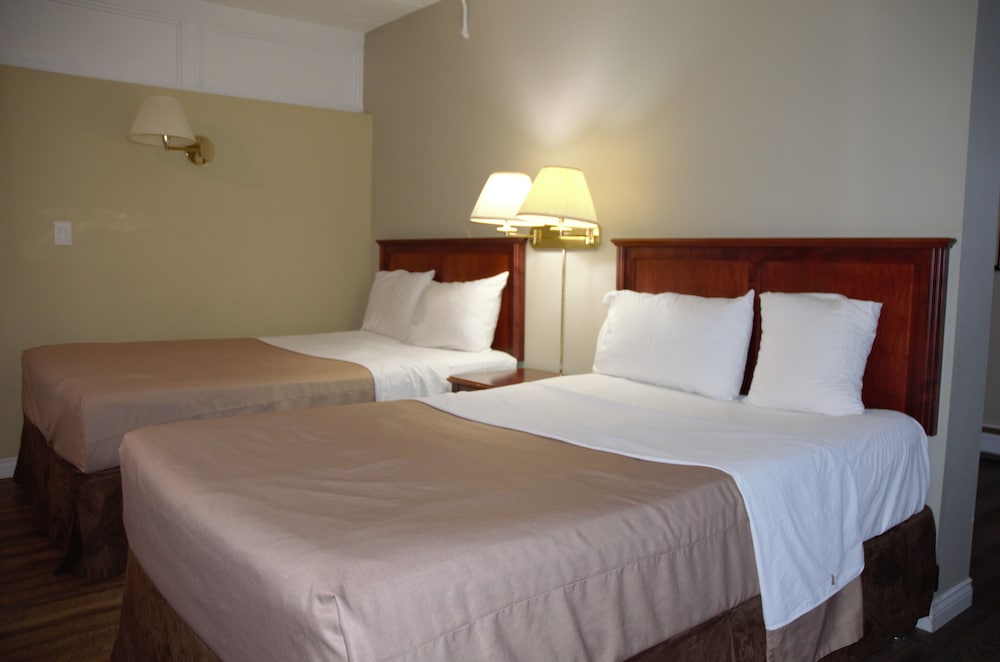 Deluxe Double or Twin Room photo 1