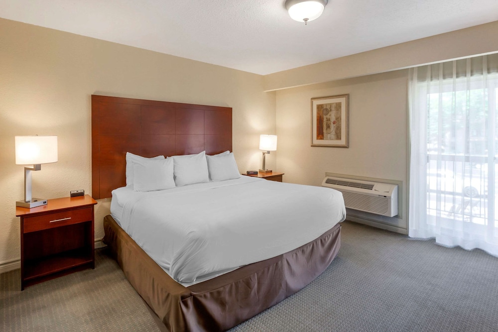 1 King Bed, Walkout Door - Photo 1