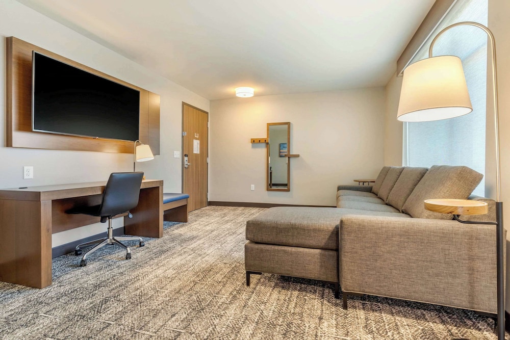 Suite, 1 King Bed with Sofa bed, Accessible - Photo 4