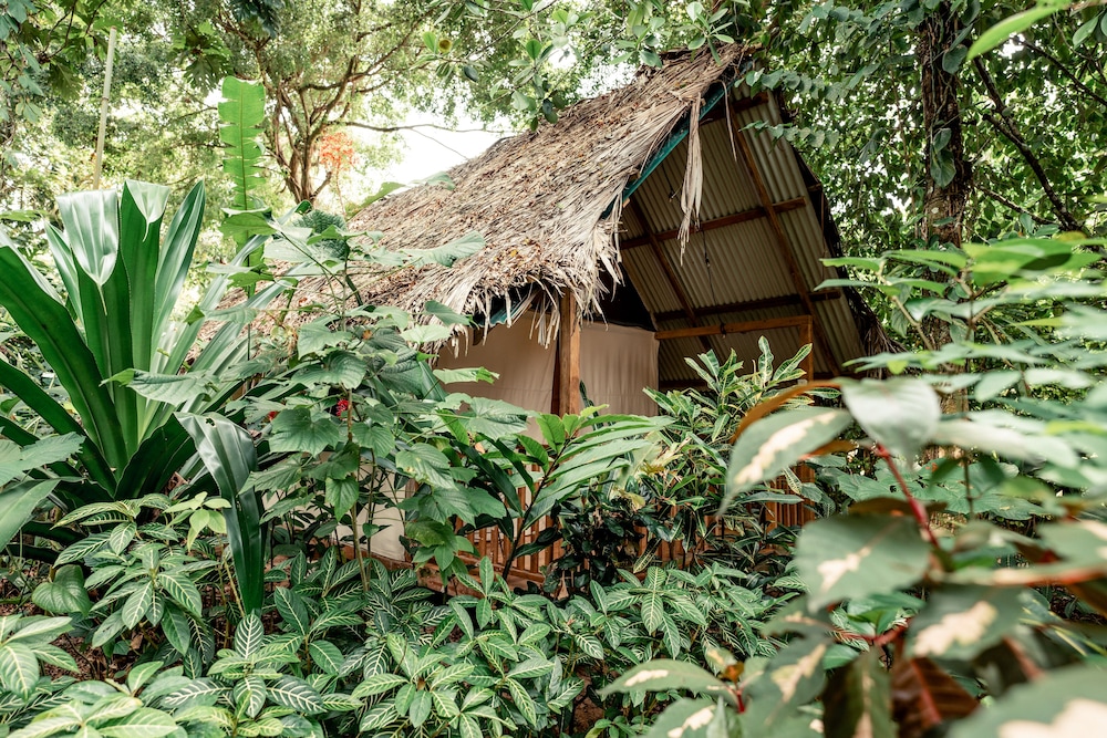 Safari Tent