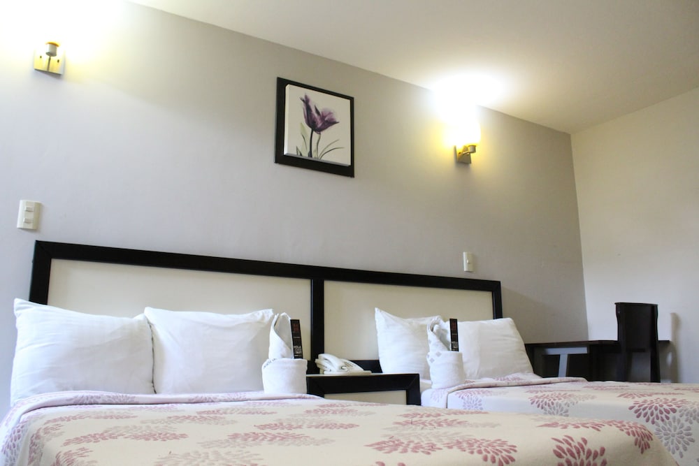 Basic Twin Room photo 2