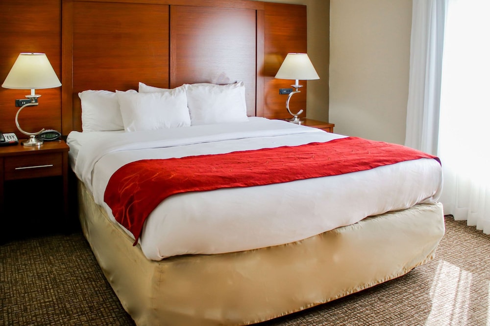 Comfort Suites At Virginia Center Commons, Billede 17