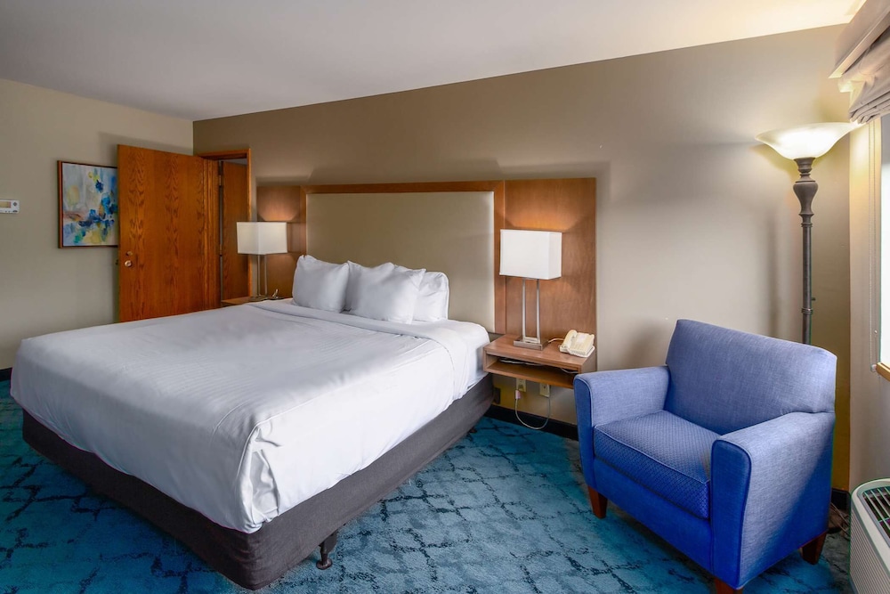 Suite, 1 King Bed photo 1