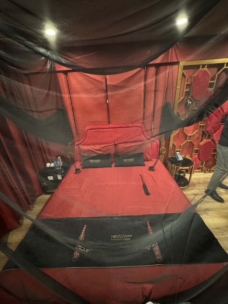 Premium Double Room, 1 King Bed photo 3