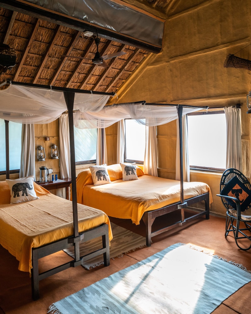 Traditional Room photo 2