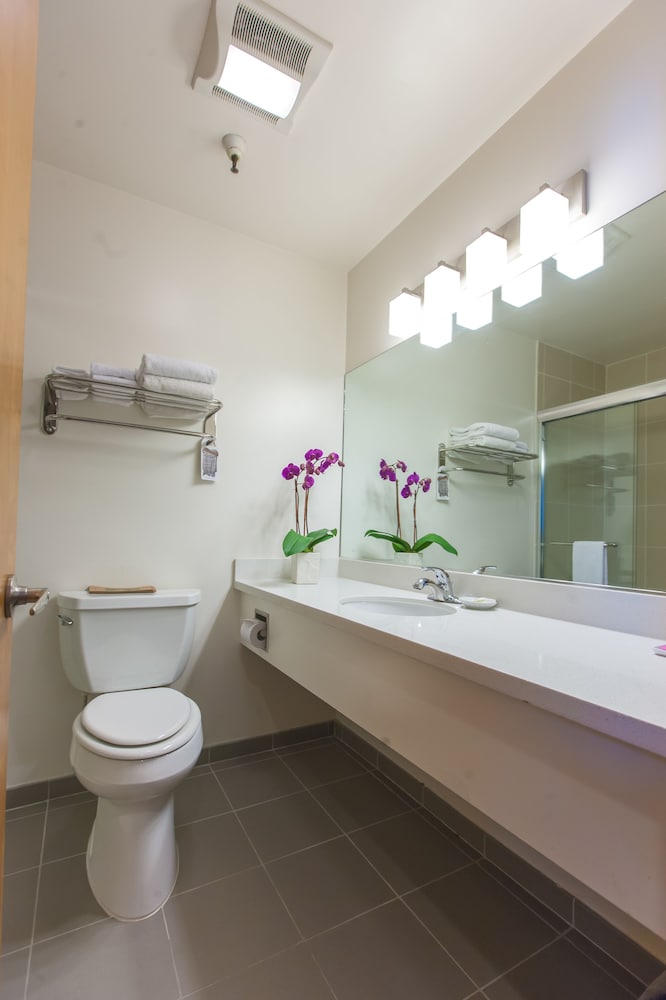 Deluxe Double Room - Photo 4