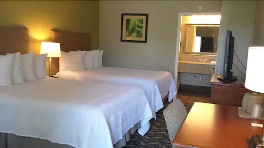 Standard Room, 2 Double Beds