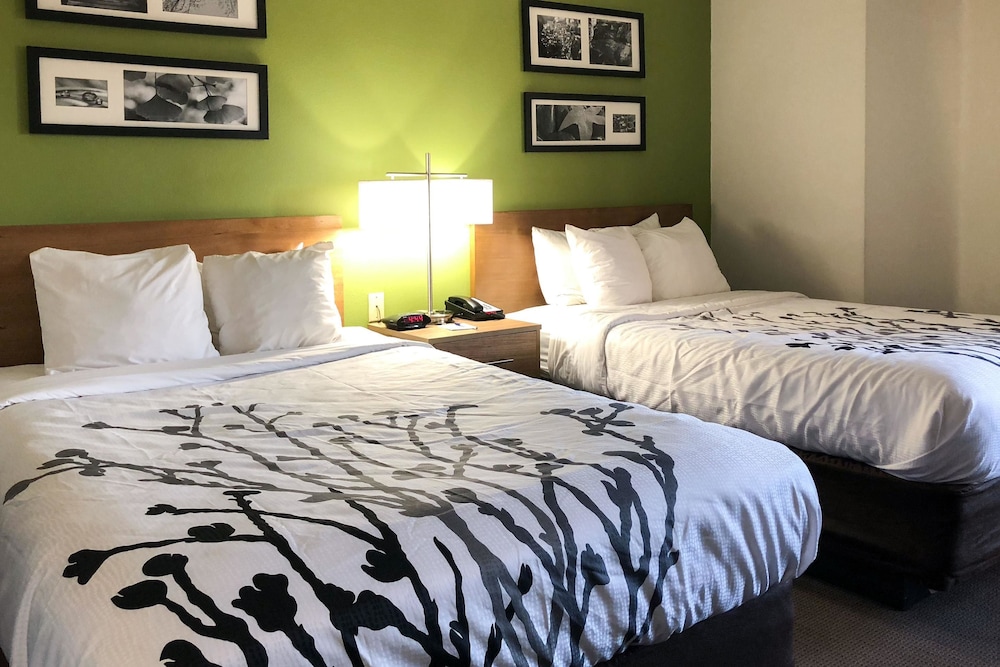 Standard Double Room, 2 Double Beds, Non Smoking - Photo 1