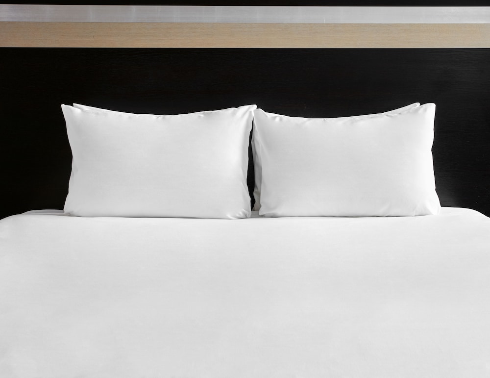 Suite, Multiple Beds, City View photo 1