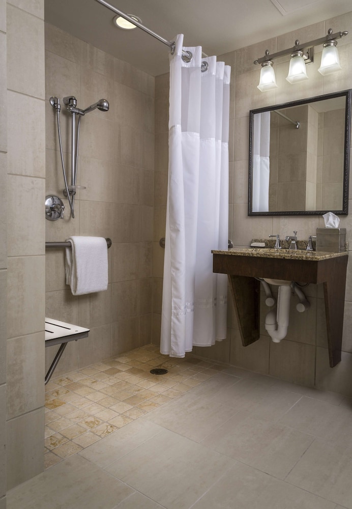Room, 1 King Bed, Accessible (Mobility, Roll-In Shower) - Photo 3