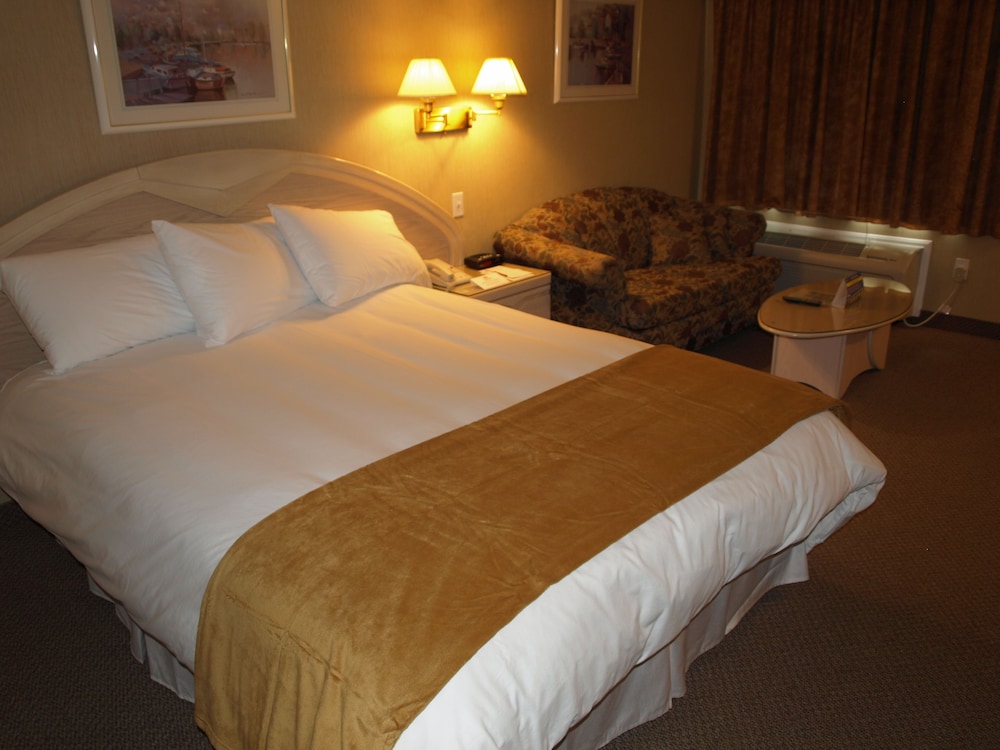 Junior Suite, 1 King Bed photo 1