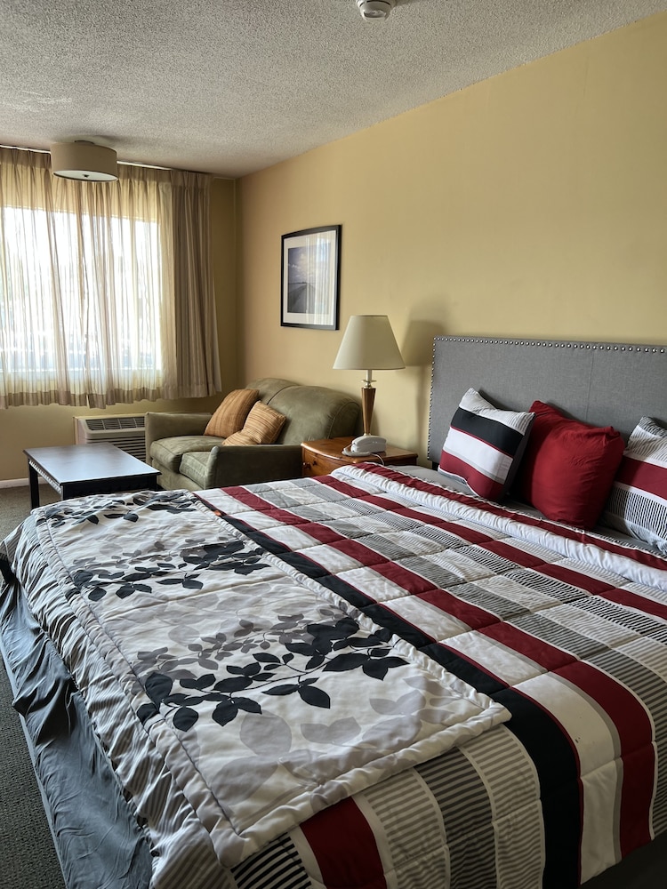 Comfort Studio Suite photo 3