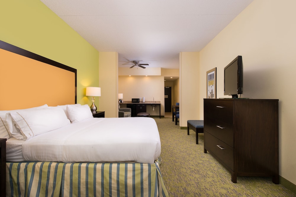 Suite, 1 King Bed - Photo 10