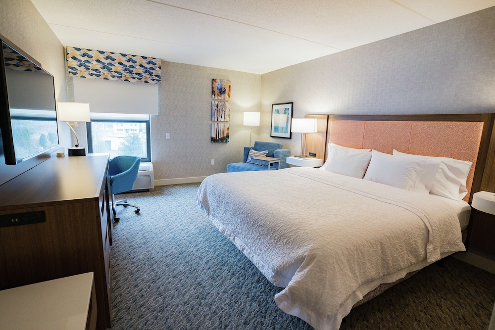 Room, 1 King Bed, Accessible, Bathtub (Hearing & Mobility) - Photo 1