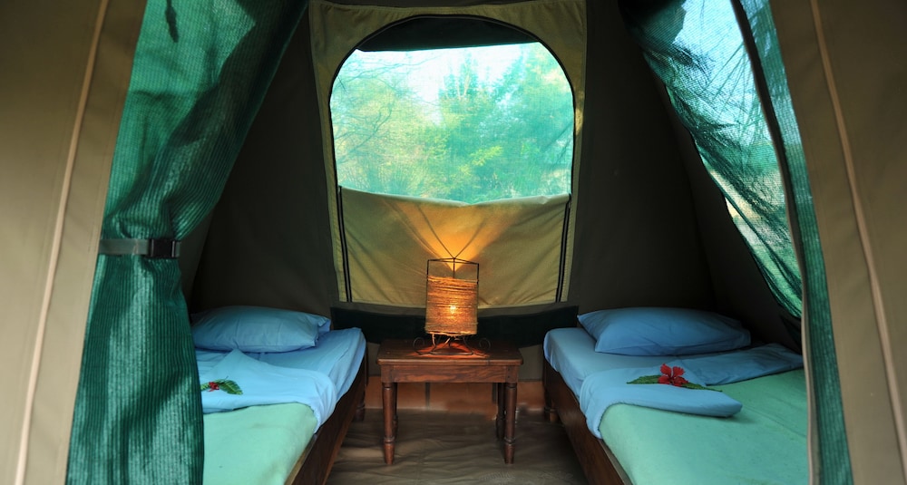 Tent (Adventure Village ) photo 2