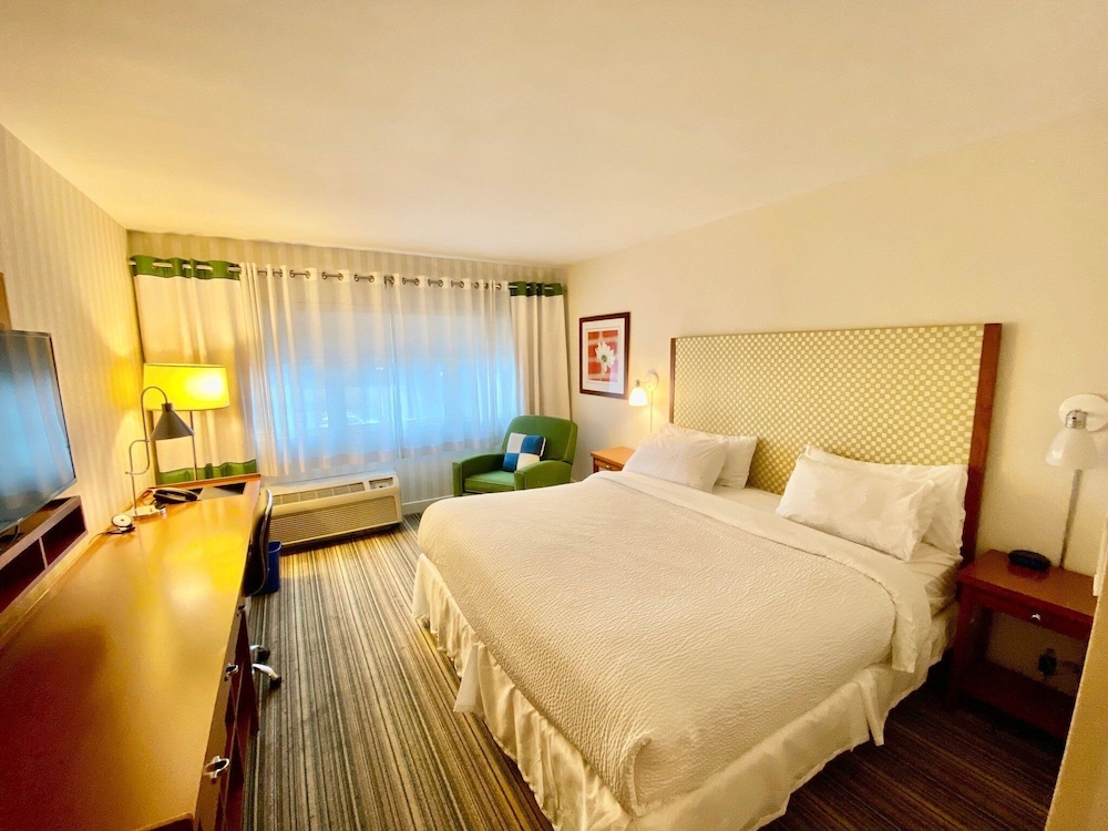 Standard Room, 1 King Bed, Accessible (Communications) - Photo 1