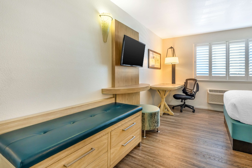 Suite, 1 King Bed, Non Smoking, Refrigerator & Microwave (with Sofabed) - Photo 2