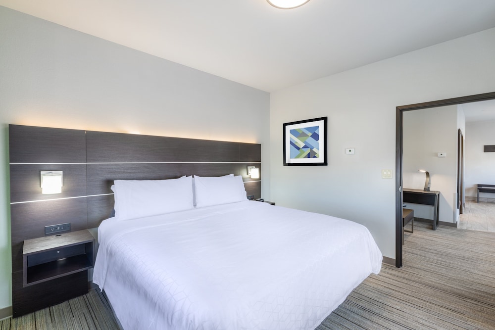 Suite, 1 King Bed photo 2