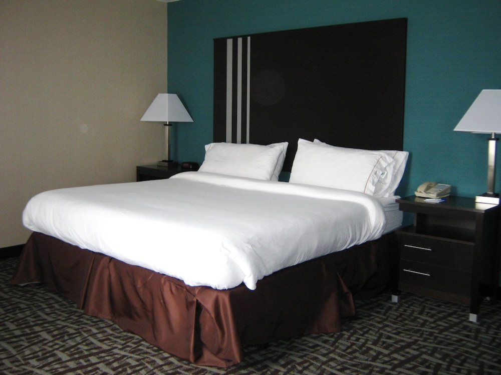 Standard Room, 1 King Bed, Accessible, Non Smoking (Comm) - Photo 1