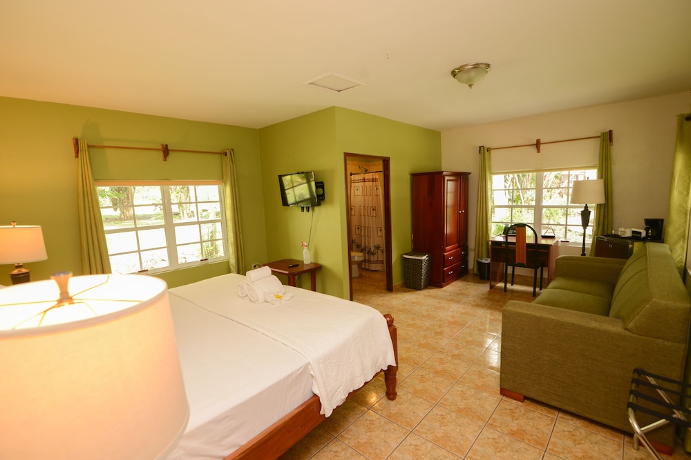 Comfort Cabin, 1 King Bed with Sofa bed, Kitchenette, Pool View