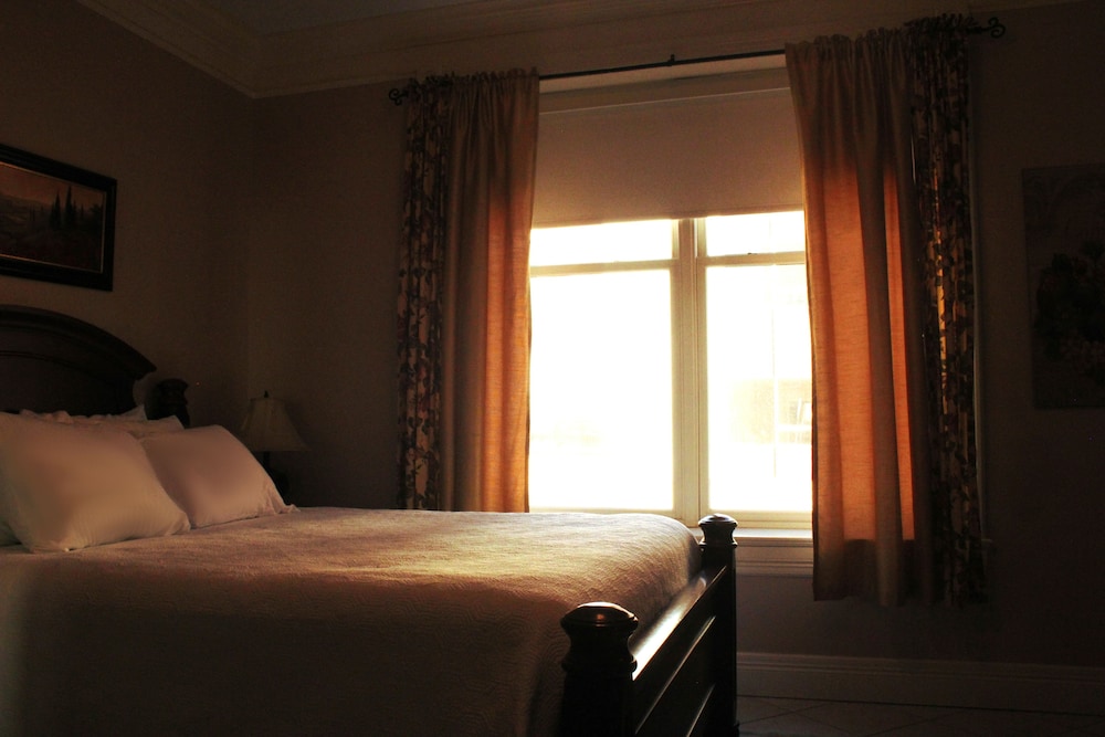Superior Studio Suite, 1 Queen Bed photo 3