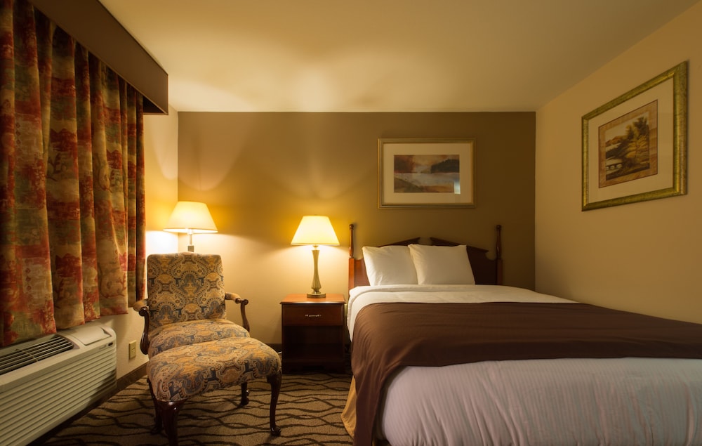 Room, 1 Queen Bed, Non Smoking photo 3