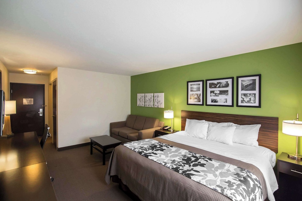 Suite, 1 King Bed, Accessible, Non Smoking - Photo 3