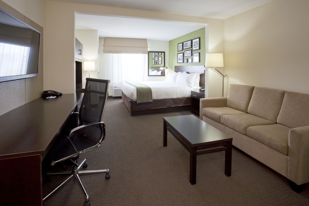 Suite, 1 King Bed with Sofa bed, Accessible (Communication Accessible) - Photo 1