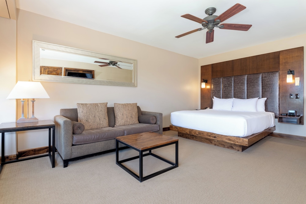 Room, 1 King Bed (Alpine Vista) - Photo 1