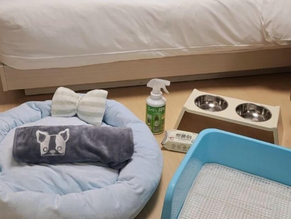 Deluxe Double Room, City View (Pet Allowed)