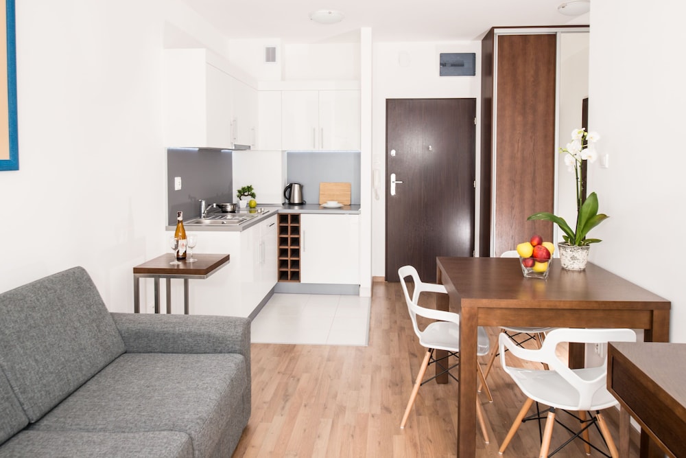 Classic Apartment (for 1 person) photo 2