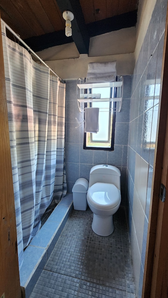 Classic Double Room, Patio, Garden View photo 3