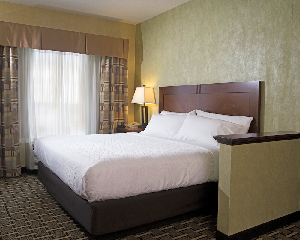 Suite, 1 Queen Bed photo 2