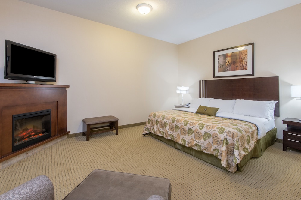 Suite, 1 King Bed - Photo 3