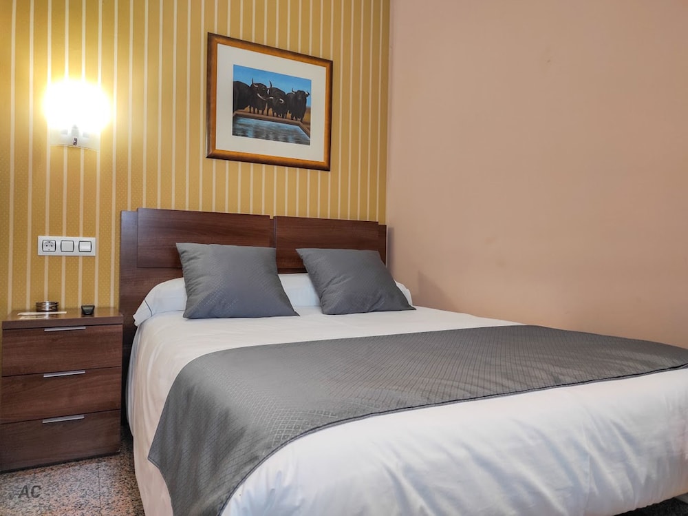 Economy Single Room