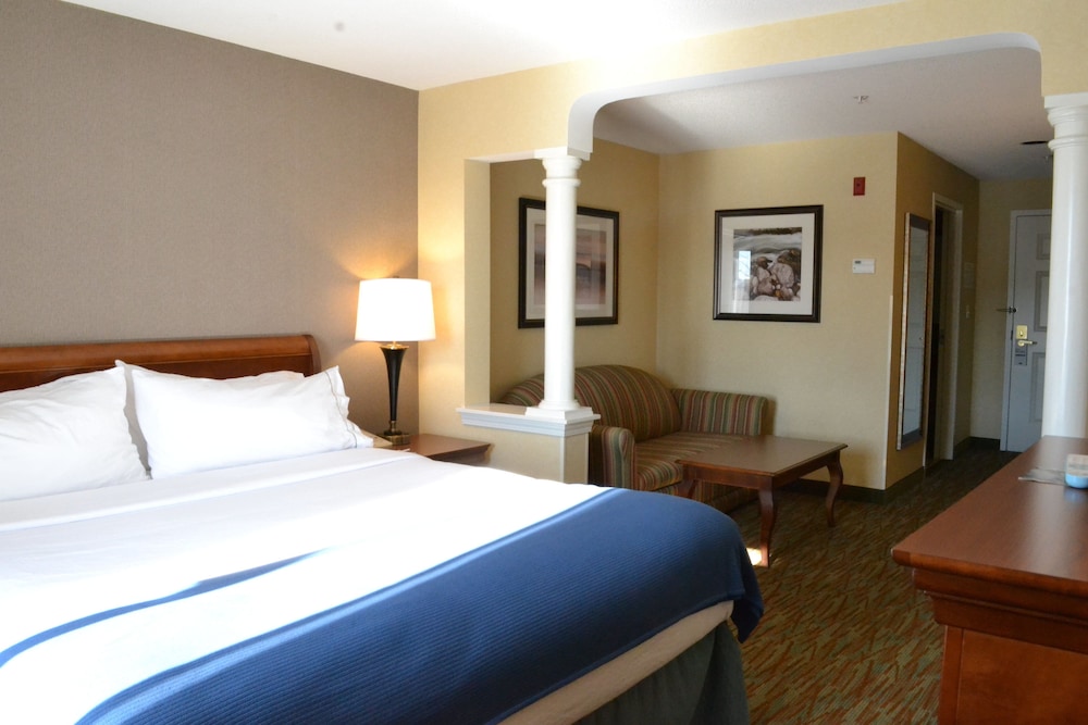 Standard Room, 1 King Bed, Accessible (Communications Accessible) - Photo 3