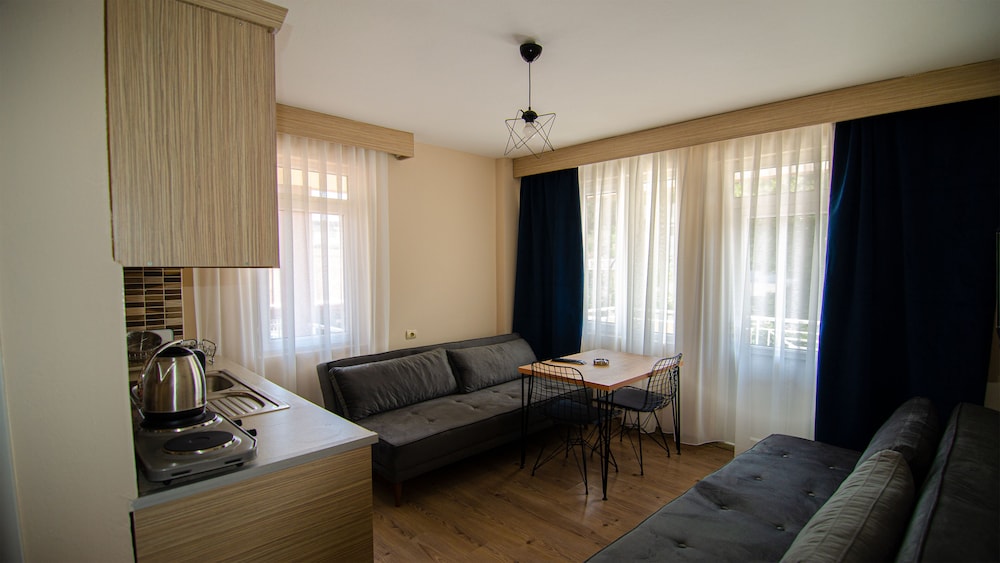 Standard Room, Non Smoking, Mountain View photo 1
