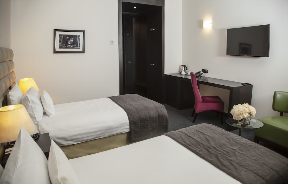 Deluxe Double or Twin Room photo 1