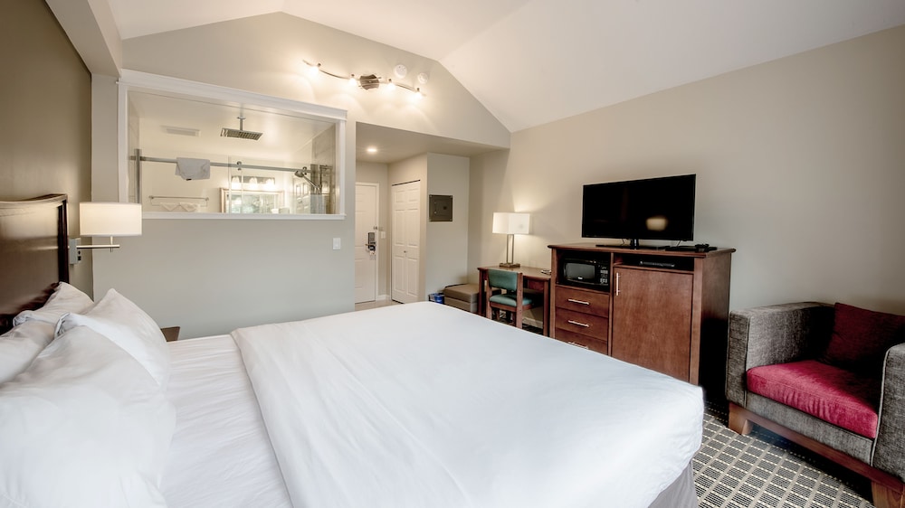 Luxury Room, 1 King Bed, Balcony, Park View photo 3