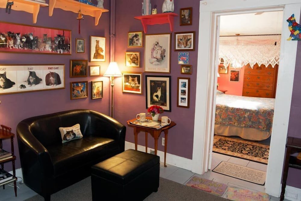 Special King Room photo 2