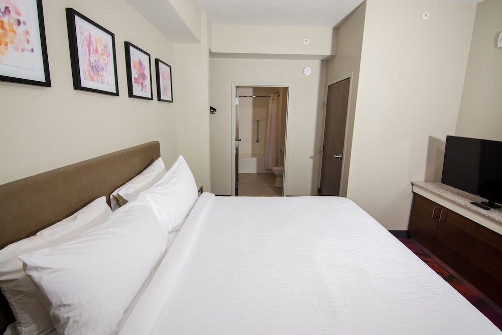 Hilton Garden Inn Tampa Suncoast Parkway, Foto 4