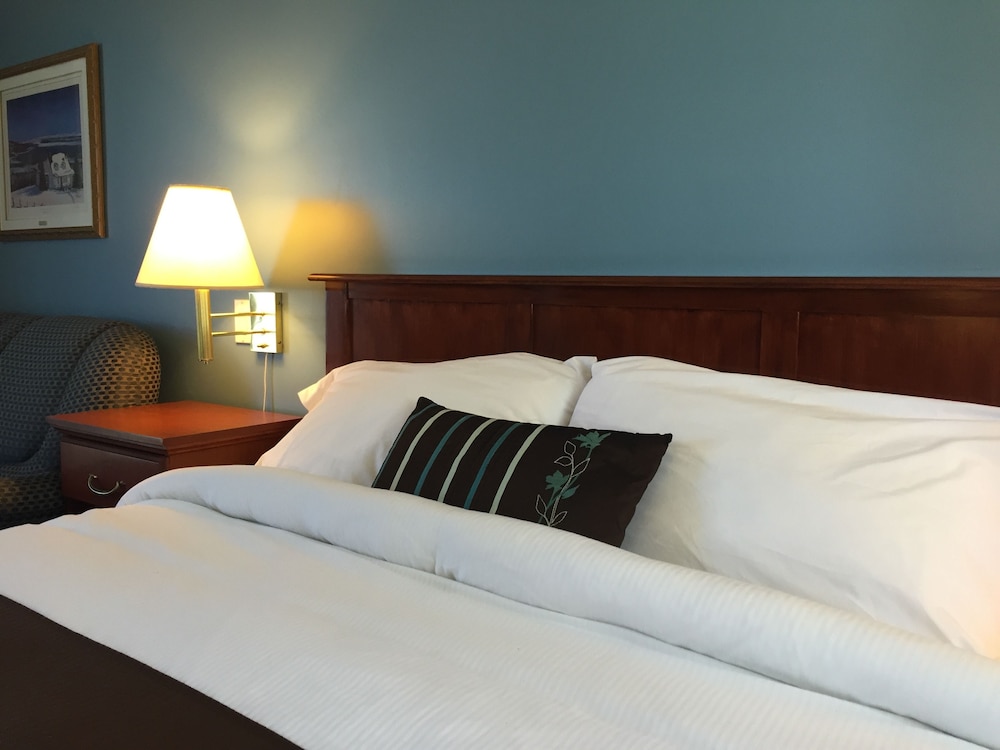 Comfort Room photo 3