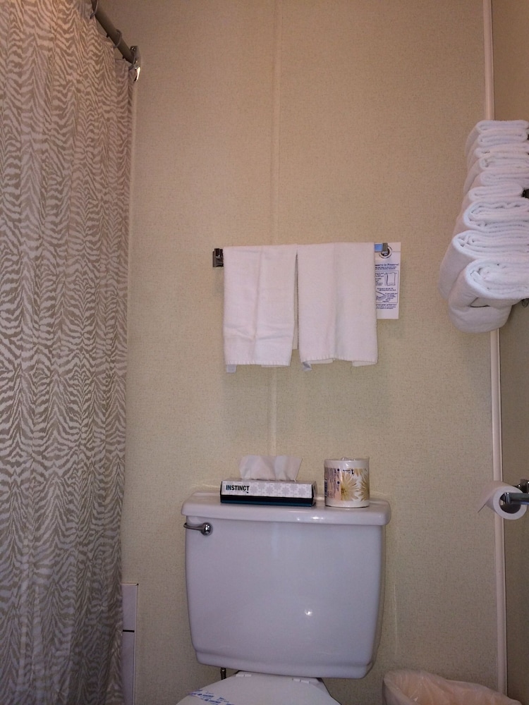 Room, 2 Double Beds photo 3