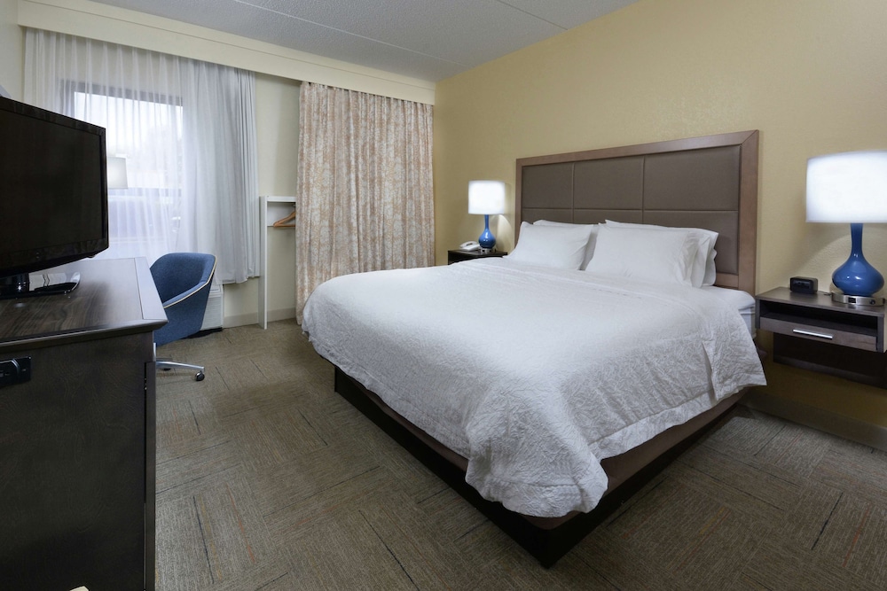 Room, 1 King Bed, Accessible, Refrigerator & Microwave (Bathtub) - Photo 1