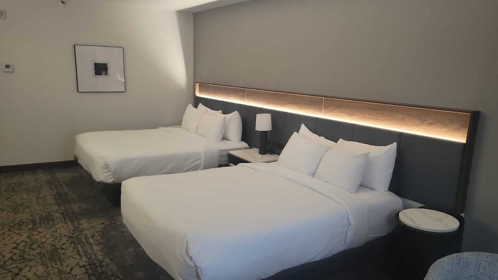 City Room, Multiple Beds, City View photo 1