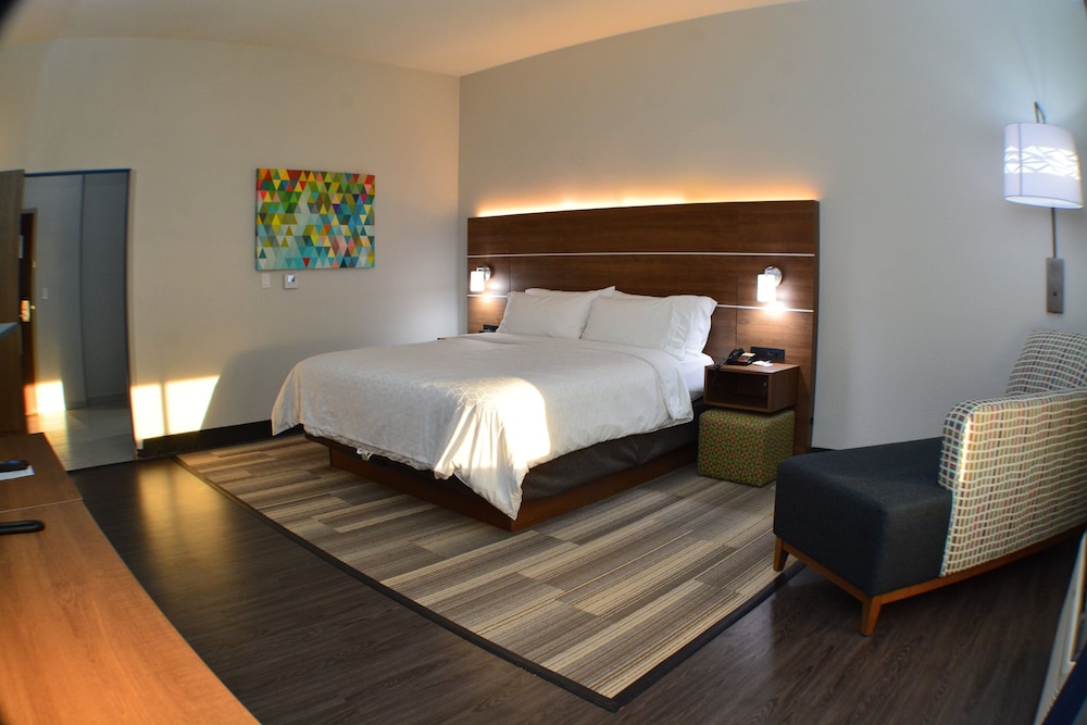Suite, 1 King Bed - Photo 1